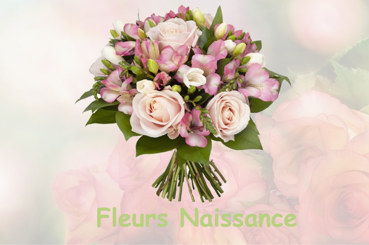 fleurs naissance SAINT-GEORGES-D-ESPERANCHE